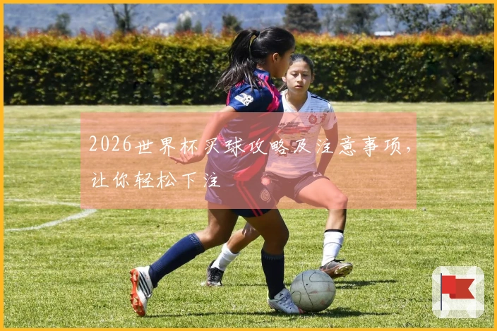2026世界杯买球攻略及注意事项，让你轻松下注
