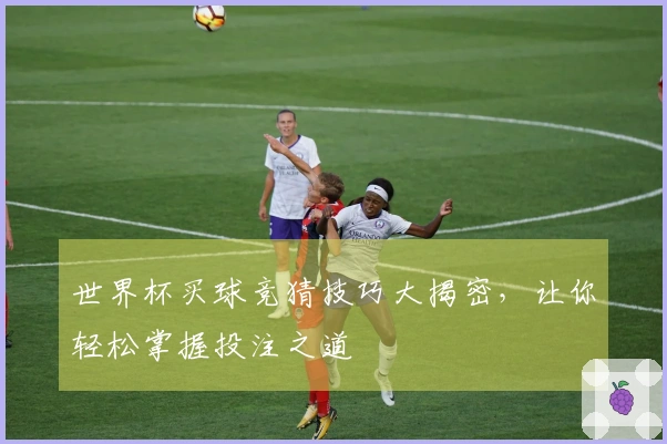 世界杯买球竞猜技巧大揭密，让你轻松掌握投注之道
