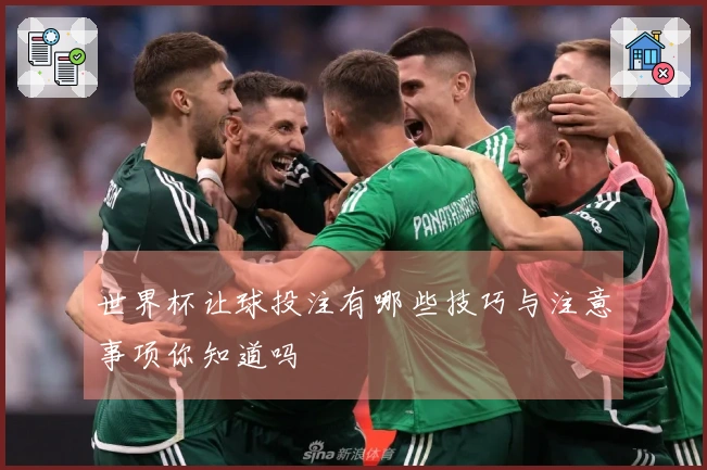 世界杯让球投注有哪些技巧与注意事项你知道吗