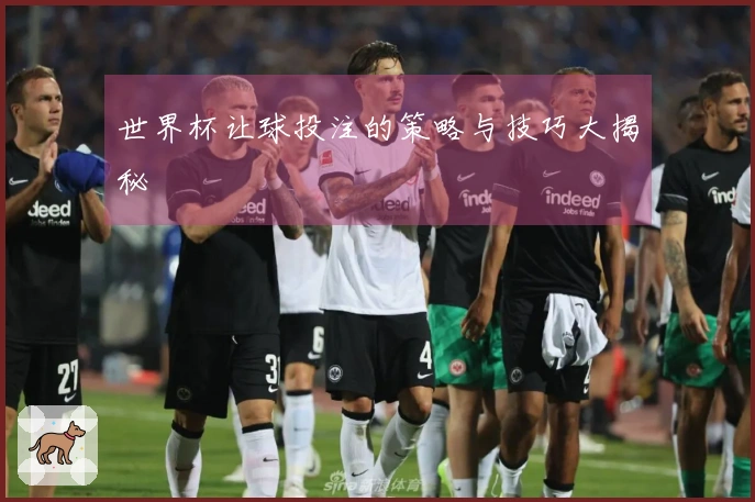 世界杯让球投注的策略与技巧大揭秘