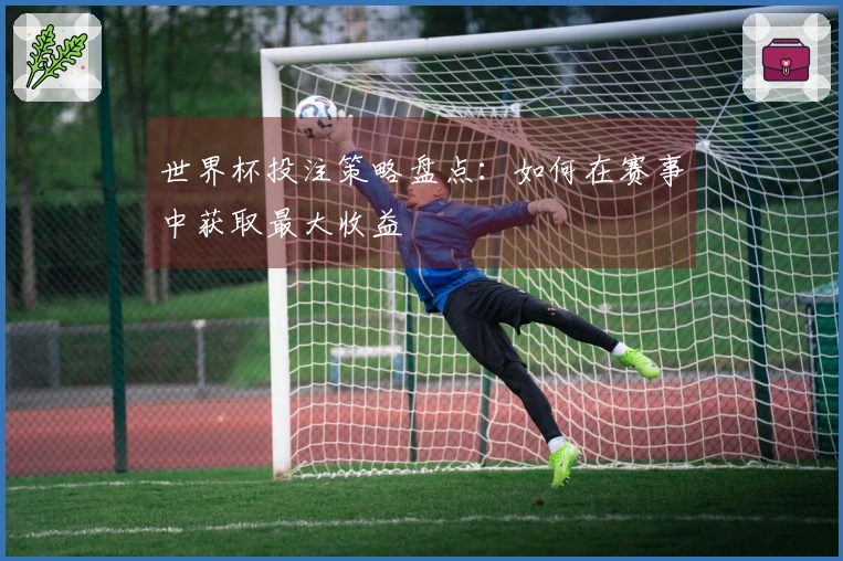 世界杯投注策略盘点：如何在赛事中获取最大收益