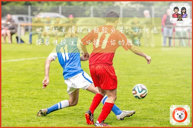世界杯竞猜投注经验分享：如何选择最佳投注入口提升你的胜率