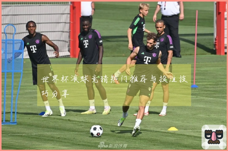 世界杯滚球竞猜热门推荐与投注技巧分享
