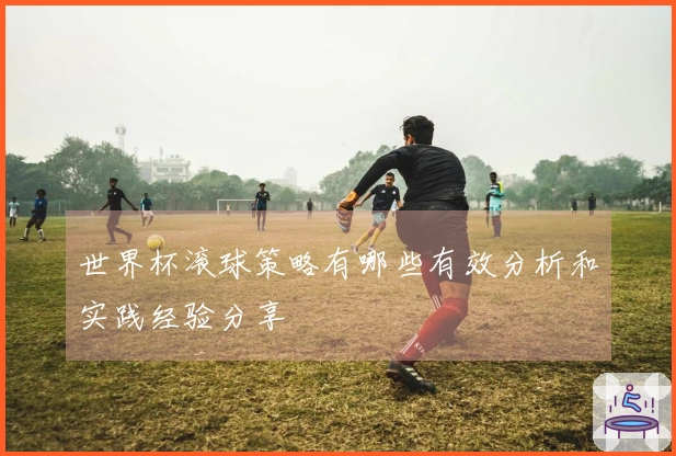 世界杯滚球策略有哪些有效分析和实践经验分享