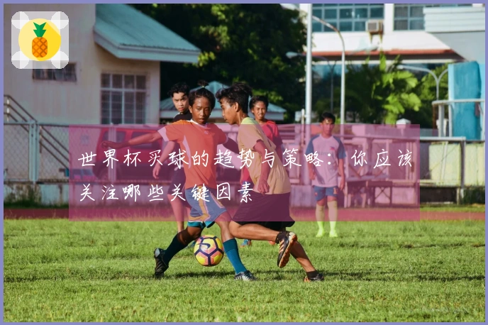 世界杯买球的趋势与策略：你应该关注哪些关键因素