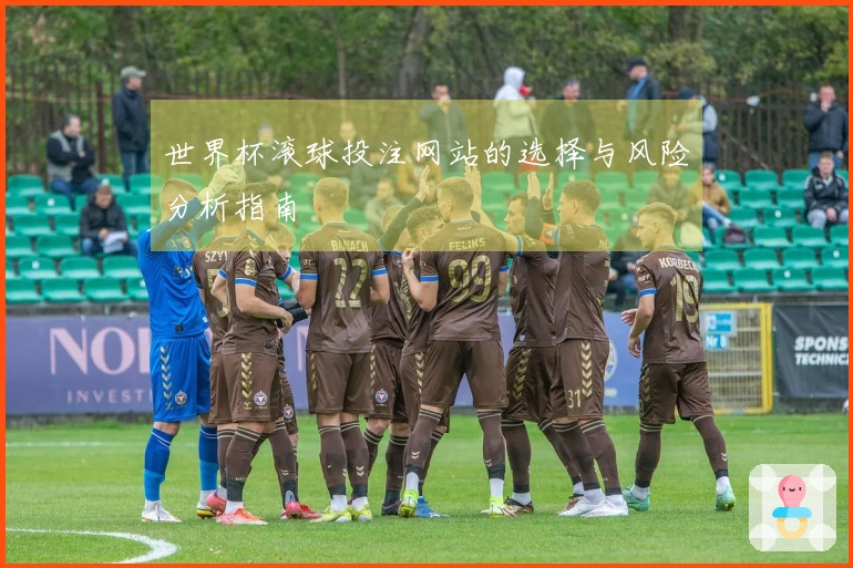 世界杯滚球投注网站的选择与风险分析指南